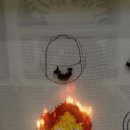 몽뜰리에 이미지