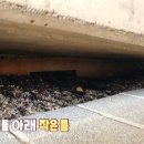 베들레헴농장
