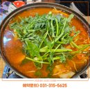 美 참치·초밥 이미지