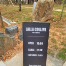 콜린(colline)