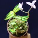 선달농장 이미지