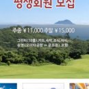퍼시픽블루트래블