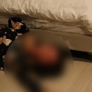 통영 신축 2층 독채 풀빌라 깨끗하고 조용한 펜션 풀베르데