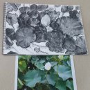 서양화 기초 이미지