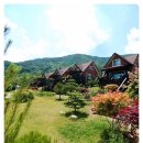 정선펜션1박2일 이미지