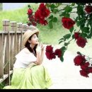 오월의 하루 이미지