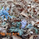 송석농장 이미지