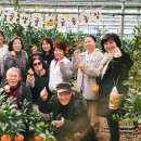 생규농장 이미지