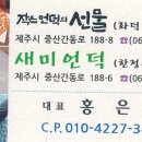 작은언덕의선물