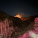 금산이네 이미지