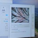 청정미담 이미지