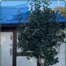 당진펜션 이미지