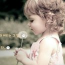 사람은 무엇으로 사는가 Daum카페