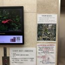 흥덕초교 | 강북삼성병원 수원검진센터 건강검진 후기: 무료주차장, 어허랑 죽