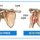머슬팩토리 헬스 공도점 이미지