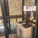 퍼피랜드 이미지