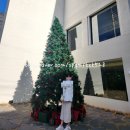 부산대, 조용한 대형 카페 '논피니토' (nonfinito) 솔직 후기