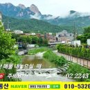 청마공인중개사사무소 이미지