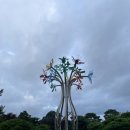 한림용인 이미지