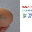 농업회사법인 (주)원애그