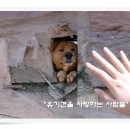 애인농장