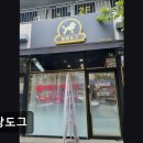 도그 에이스 | {부천, 강아지, 고양이, 애견미용, 추천!) 명랑도그 부천 애견미용 명랑도그, 스트레스 없는 미용 경험