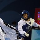 경희대 올림픽태권도 체육관 이미지