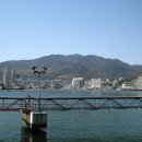 학봉여성경로당 | 무학산 -자연 속으로-