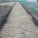 예진농장 이미지