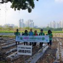 새마을로2길 이미지