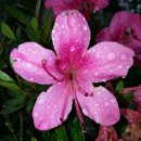 감성스피치 이미지