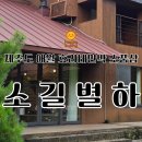 아트민박 | 제주도가볼만한곳 효리네민박 소품샵 소길별하 방문후기