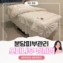 정자나무집 | [스파나무 정자점] 분당피부관리 페이스윤곽관리 후기