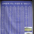 상봉동-033 이미지