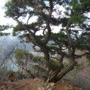 산천상회