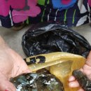 여수 해뜨는 언덕 이미지