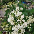 카페친구 이미지