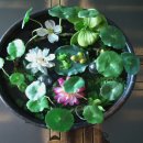 크로바하우스 이미지