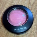 데인티 | MAC 맥 미네랄라이즈 블러쉬 데인티 내돈내산 후기 / 봄웜 여쿨 블러셔 추천 / 복숭아 블러셔