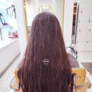 스펠라헤어메디컬 이미지