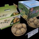 김영식농장 이미지