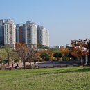 고인돌공원 Daum카페
