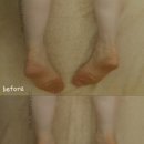 하라네이처 이미지