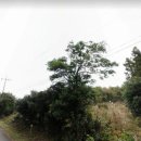 성읍리-9 이미지