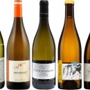 신반포로 311 | 2/13(월) 부르고뉴 와인 마스터 과정 - White 후기