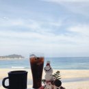 갯배스테이 이미지