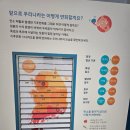 오징어게임 | 김해 탄소중립체험관 정보, 가족 체험 오징어게임 후기