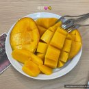 조리기능장과 함께하는 양식조리_홈 레스토랑 음식만들기 | #11. 상견례 여행 - (제주도 상견례, 상견례 식당 추천, 제주도 여행, 제주 만배성 상견례 후기)