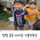 하하토이랜드 | 양평 용문 풀향기 허브나라 토이전시관 아이랑 가볼만한곳