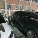 안심2농로 이미지